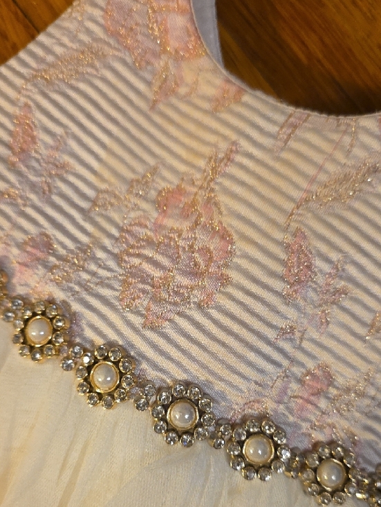 American Princess White and Light Pink Tulle Floral Bodice Party Dress Size 18m - Picture 3 of 4